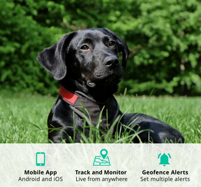 <mark>NEW</mark> - Spot 4G GPS Pet Tracker