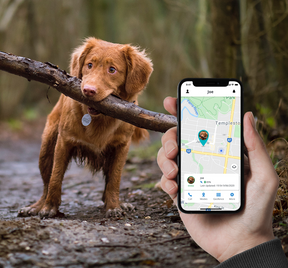 <mark>NEW</mark> - Spot 4G GPS Pet Tracker