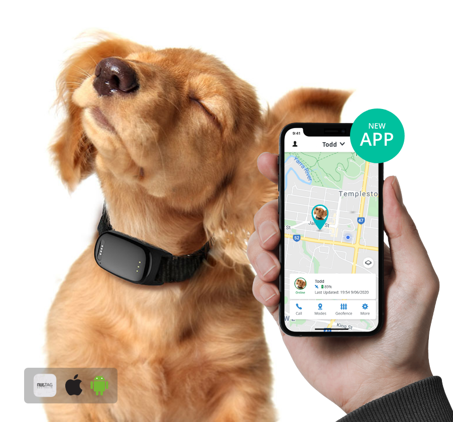 Spot GPS Pet Tracker
